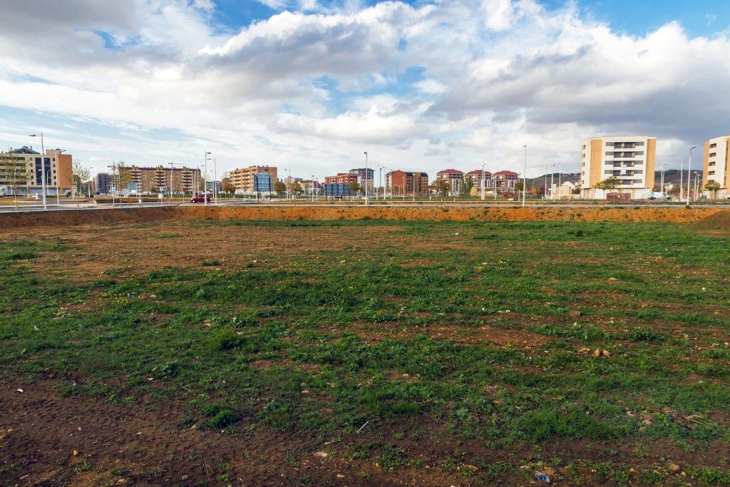 An image of a vacant land