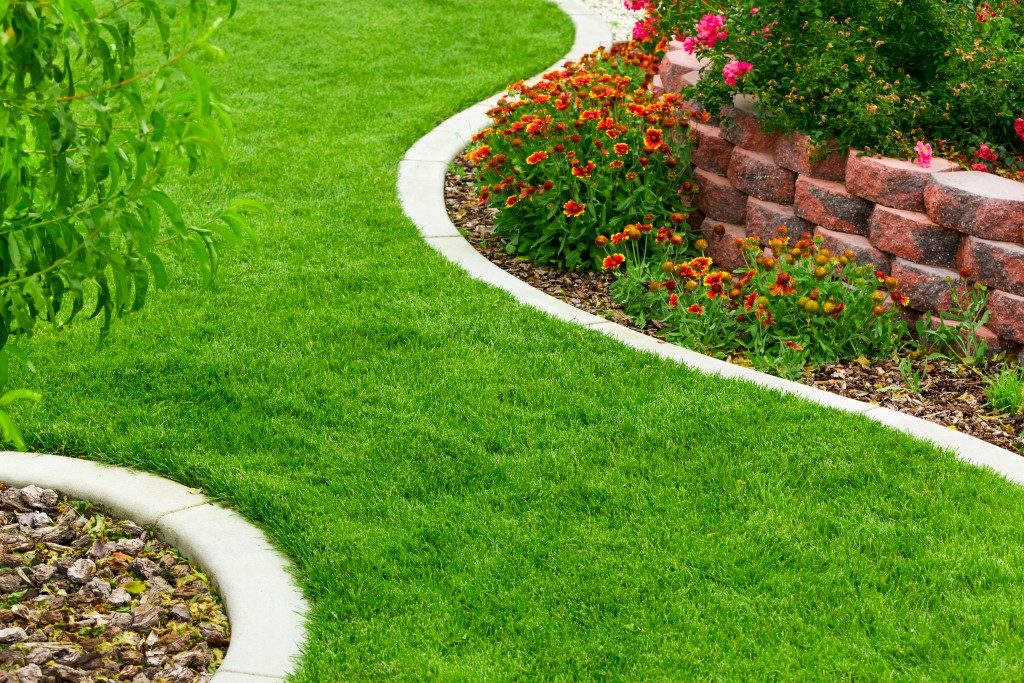 Garden with ireggular shaped lawn