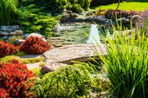 Landscaped backyard