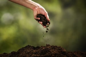 holding soil