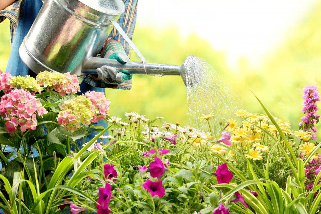 watering flowers in the garden