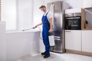 man disinfecting the house