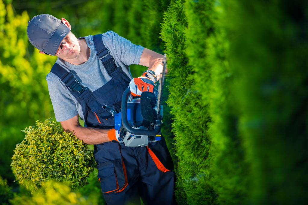 Gardener with Gasoline Hedge Trimmer
