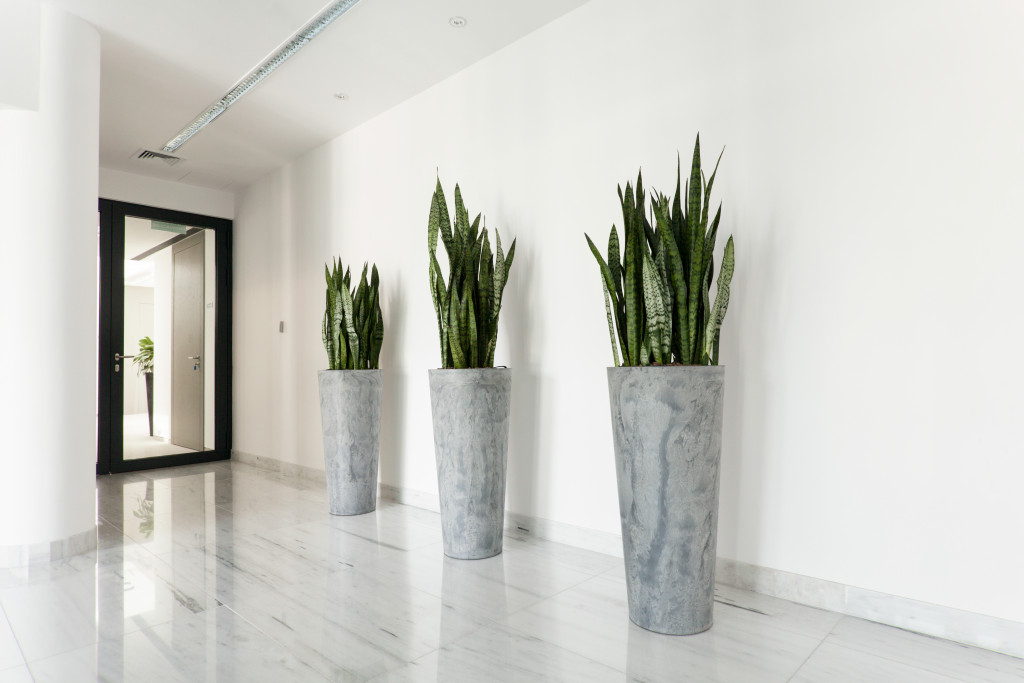Office reception with indoor plants